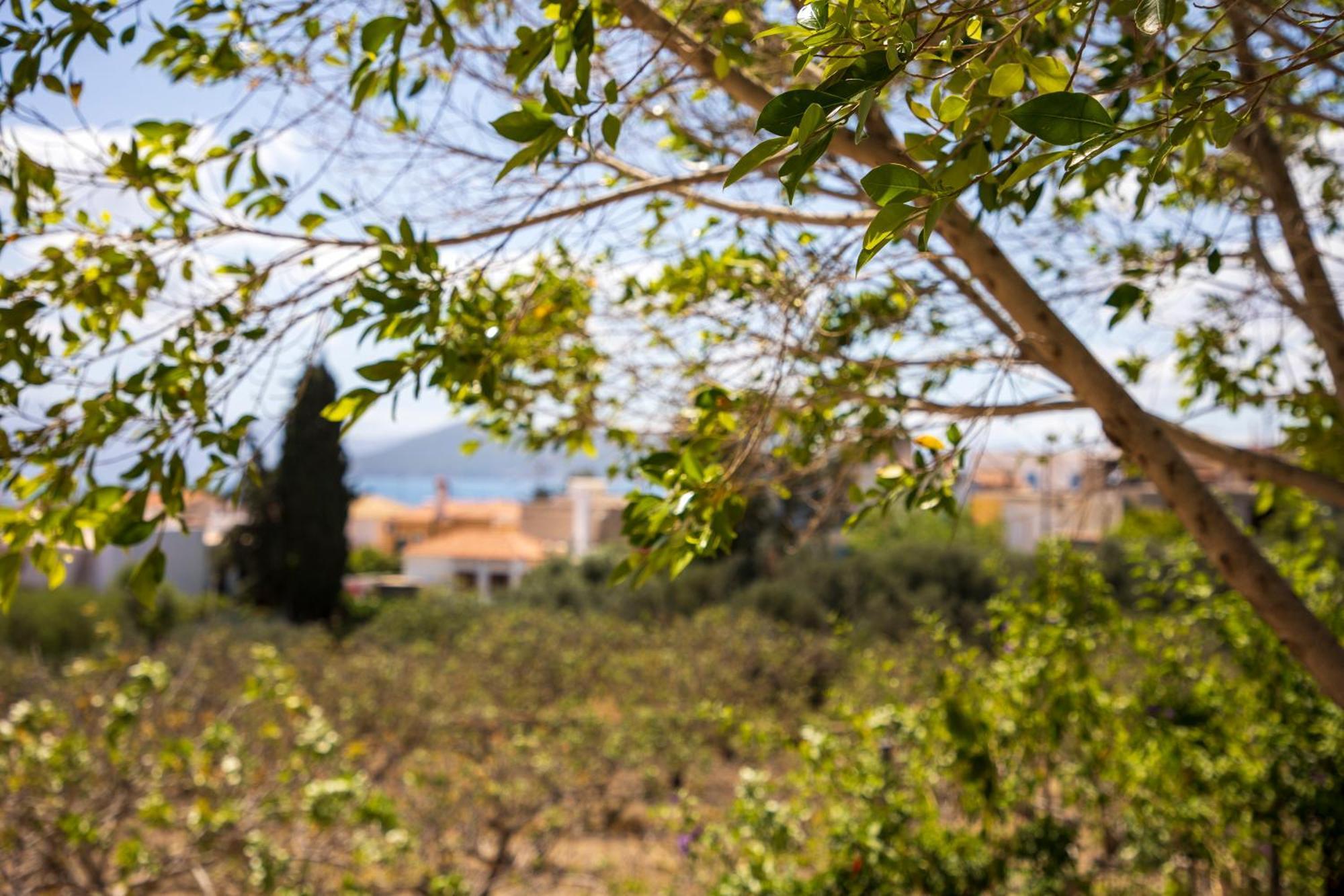 Holiday home The Garden House Aegina